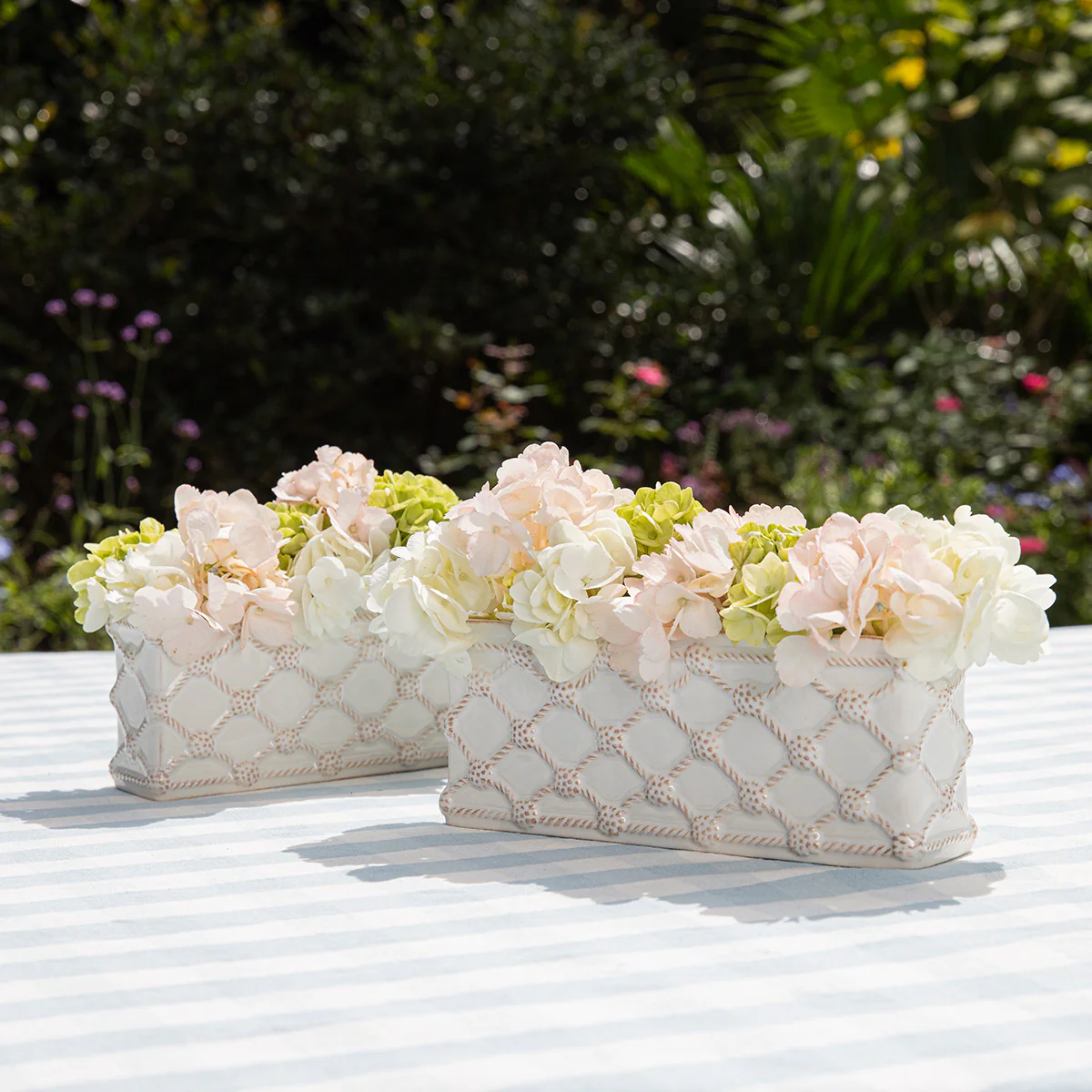 Berry & Thread Petite Parterre Garden 8" Planter Set/2 - Whitewash - Image 3