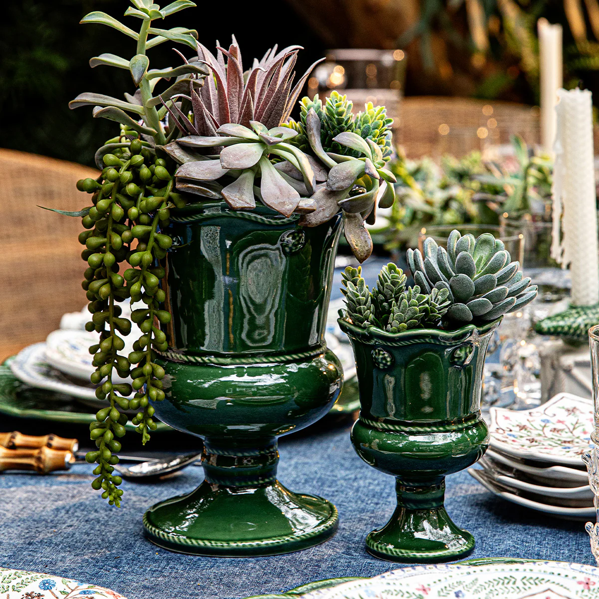 Berry & Thread Petite Parterre Garden 8" Vase - Basil - Image 4