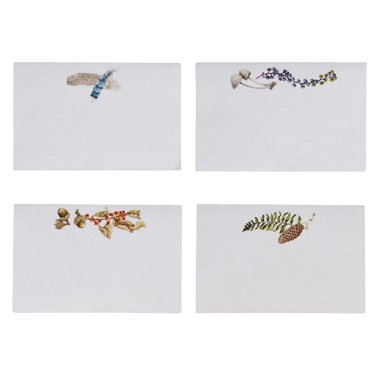 Forest Walk Place Card Assorted Set/12 - Multi