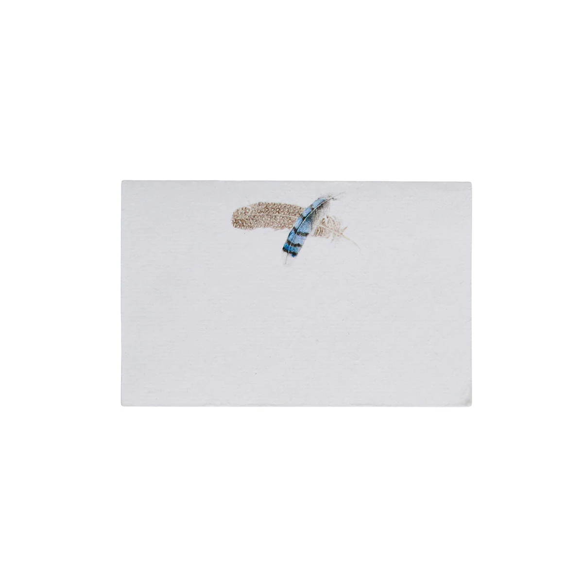 Forest Walk Place Card Assorted Set/12 - Multi - Image 7