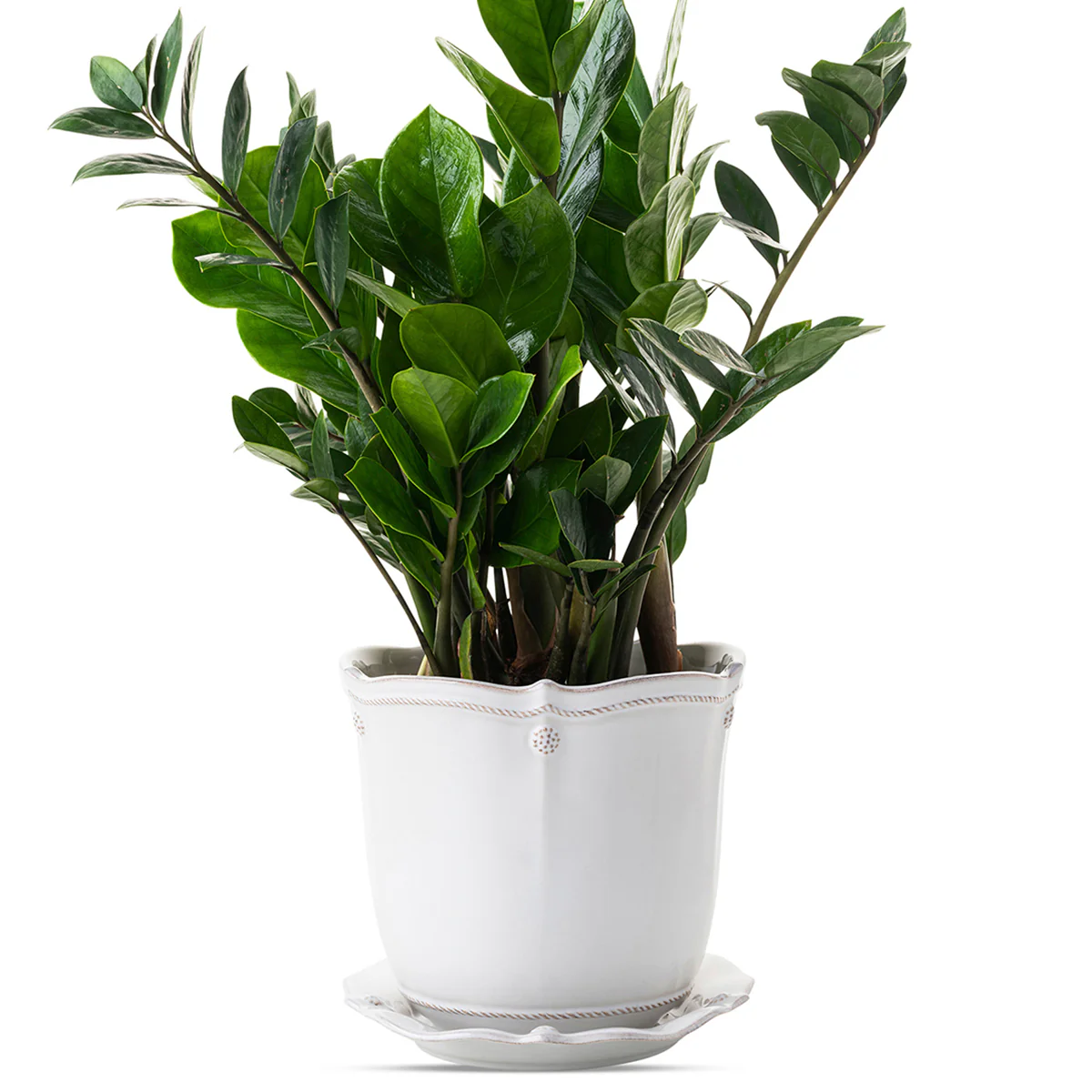 Berry & Thread 7" Planter - Whitewash - Image 2